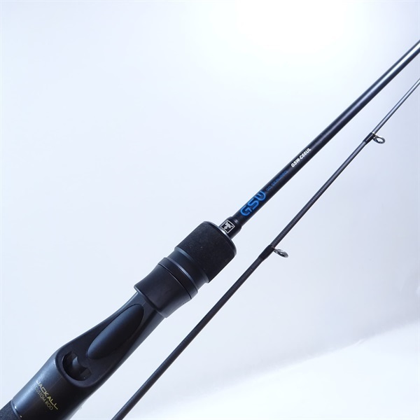 ＧＳＷ   Ｃ６６ＵＬ
